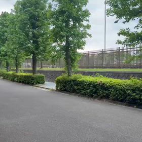 川越練習（1000m）⑤の画像