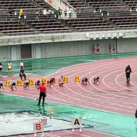 日清カップ（埼玉県大会）６年女子100m予選②の画像