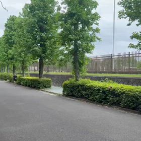 川越練習（1000m）④の画像