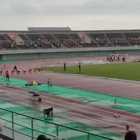 日清カップ（埼玉県大会）3.4女子80m②の画像