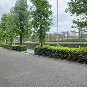 川越練習（1000m）①の画像