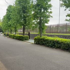 川越練習（1000m）➅の画像