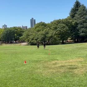 航空公園クロカンリレー②の画像
