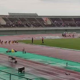 日清カップ（埼玉県大会）3.4女子80m③の画像
