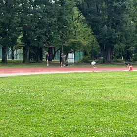 競技場練習（リレー）⑤の画像