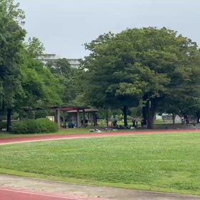 競技場練習（リレー）③の画像