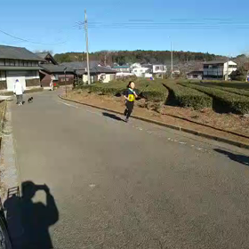 駅伝　上り坂⑥の画像