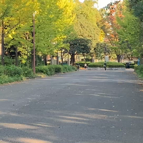 記録会 女子Cグループ④の画像