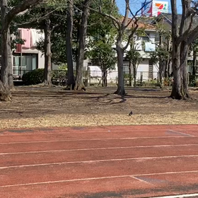 リレー特別練習（トラック）⑫の画像