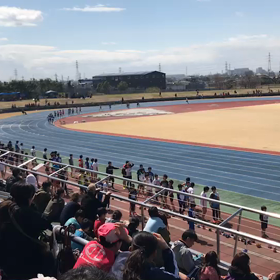 男子1000ｍレース動画②の画像