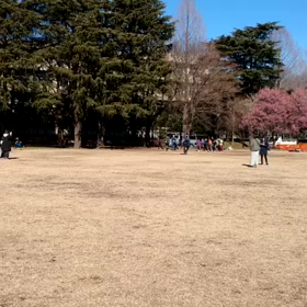 特別練習 B 学年別インターバル⑭の画像