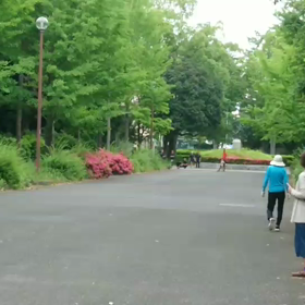 選考会動画⑤の画像