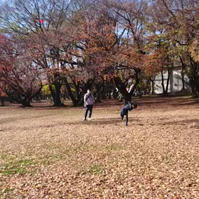   ジャベリック(記録会)⑥の画像
