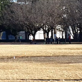 100m記録会(Aグループ)④の画像