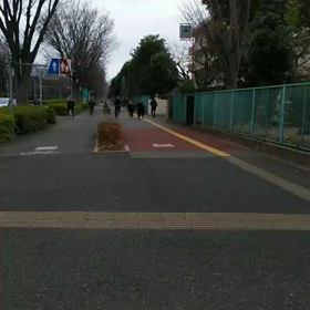 男子ロード練習①の画像