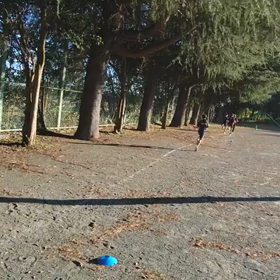 襷練習⑪の画像