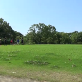 7/17 アクティビティー⑪の画像