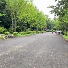 9月21日 100mCグループ(男子選考会)⑨の画像