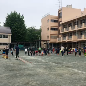5月21日 ダッシュの場⑨の画像