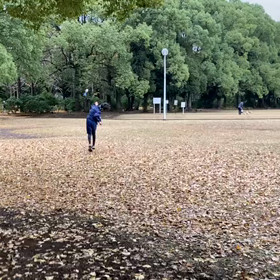 11月26日 ジャベリック④の画像