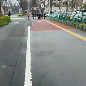 ロード練習 (都大路出場選手と共に)の画像