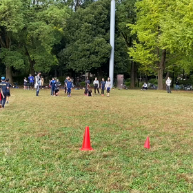 航空公園練習 ダッシュ(茶色チーム)②の画像