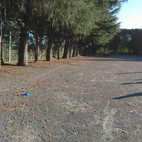 襷練習⑥の画像