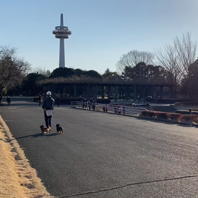 男子選考会中間地点④の画像