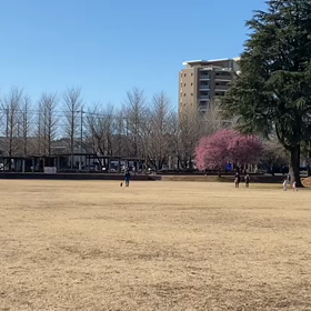 特別練習 B 学年別インターバル②の画像