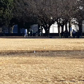 100m記録会(Aグループ)①の画像