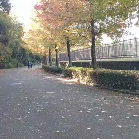 1000m ゴール③の画像