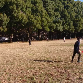 ジャベリック(記録会)⑩の画像