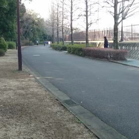 長距離記録会(3月12日) 宮本愛加さん好記録の画像