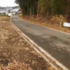 駅伝コースの坂ダッシュ　前半②の画像