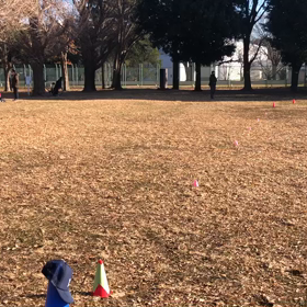 長距離記録会(Fグループ)⑦の画像