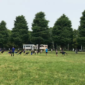 バランス・大股歩行⑫の画像