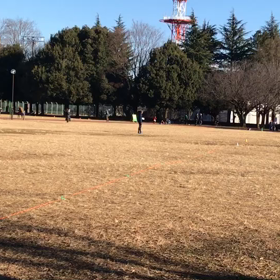 100m記録会(Eグループ)①の画像