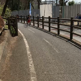 多摩湖最後の上り坂⑥の画像