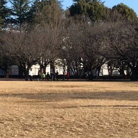100m記録会(Cグループ)③の画像