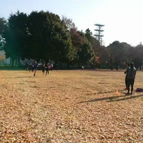 航空公園練習 1000m ３組目②の画像