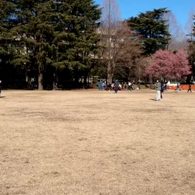 特別練習 B 学年別インターバル⑮の画像
