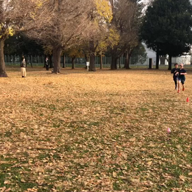 1000m２組目&1500m⑥の画像