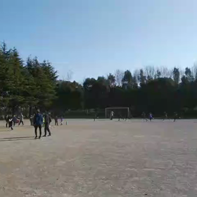 3月4日 1000m①の画像