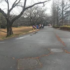 駅伝選考会 ゴールシーンの画像