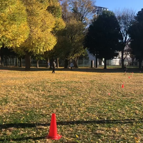1000m第２組目②の画像