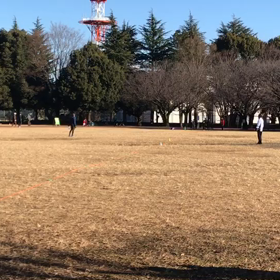 100m記録会(Eグループ)②の画像