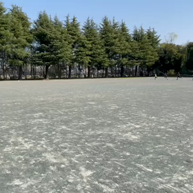 4月9日 1000m⑮の画像