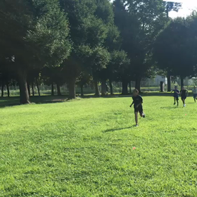 1000m⑬の画像