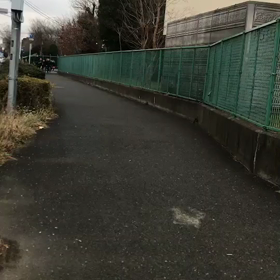 男子ロード練習③の画像