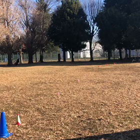 長距離記録会(Gグループ)②の画像